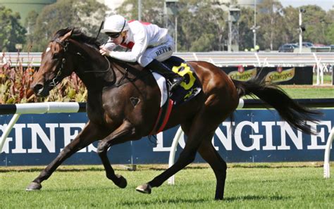 tibbie stakes|Tibbie Stakes .